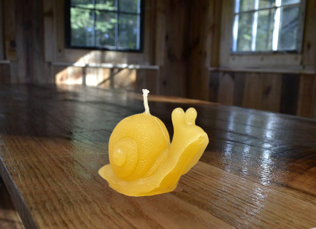 Snail Beeswax Candle 2”H