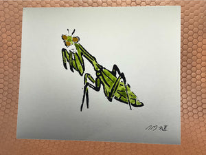 Praying Mantis Watercolor 9”x 7.5”